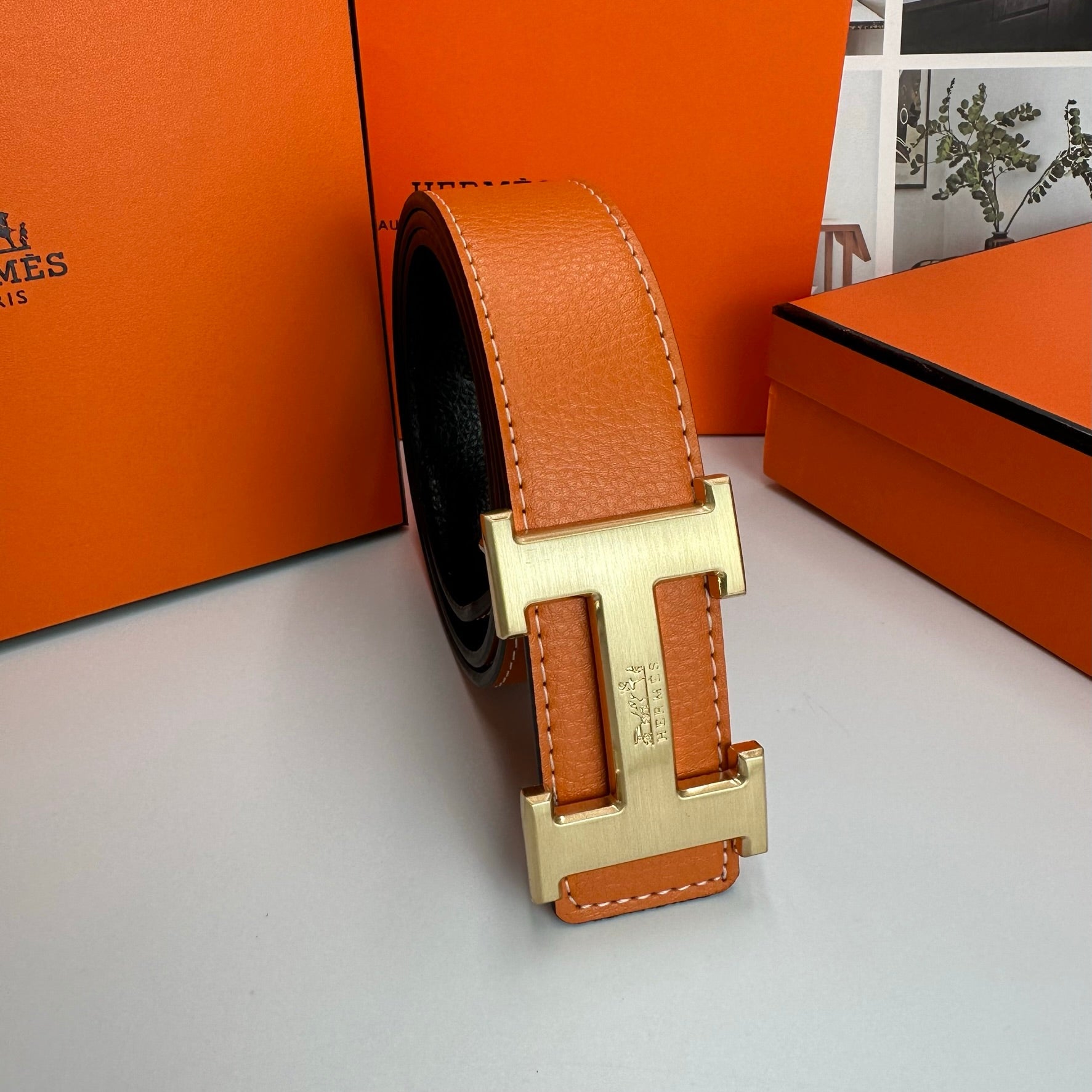 5-color fashion belt