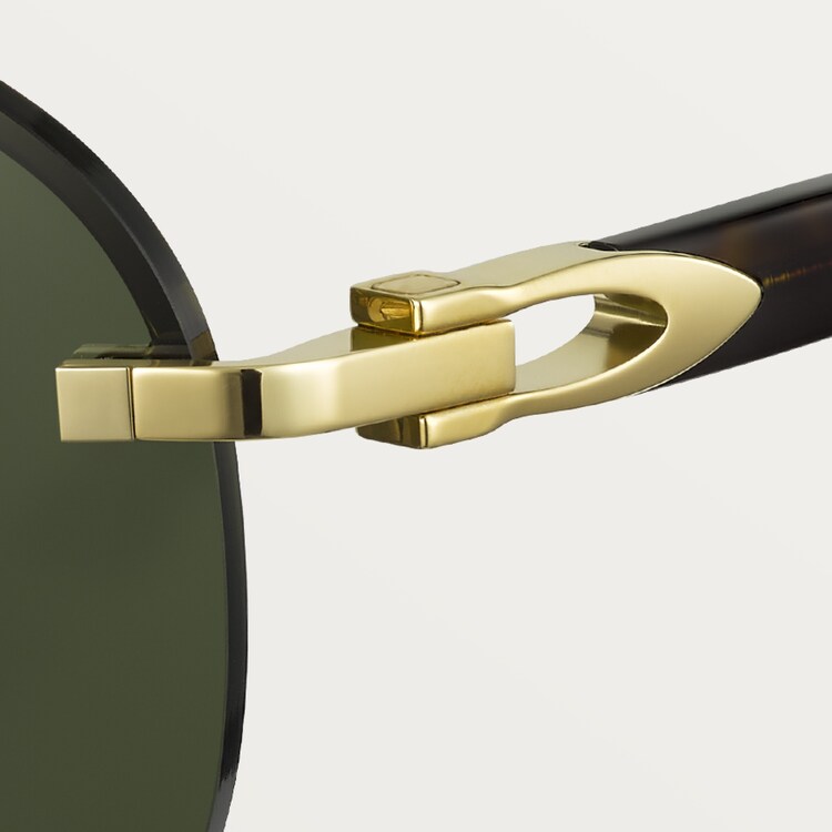 SIGNATURE C SUNGLASSES