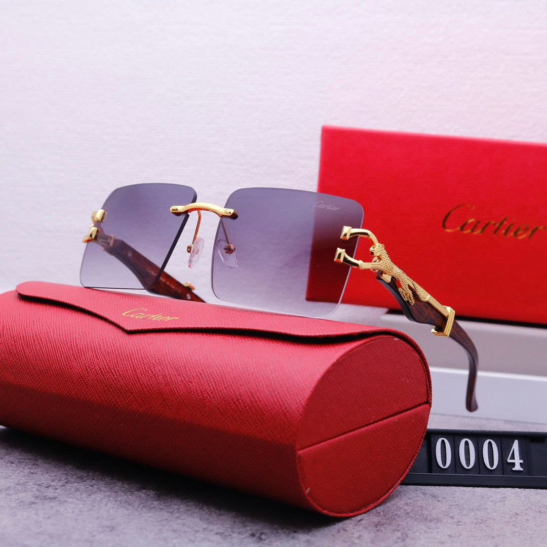 Fashion Sunglasses-CW-95800