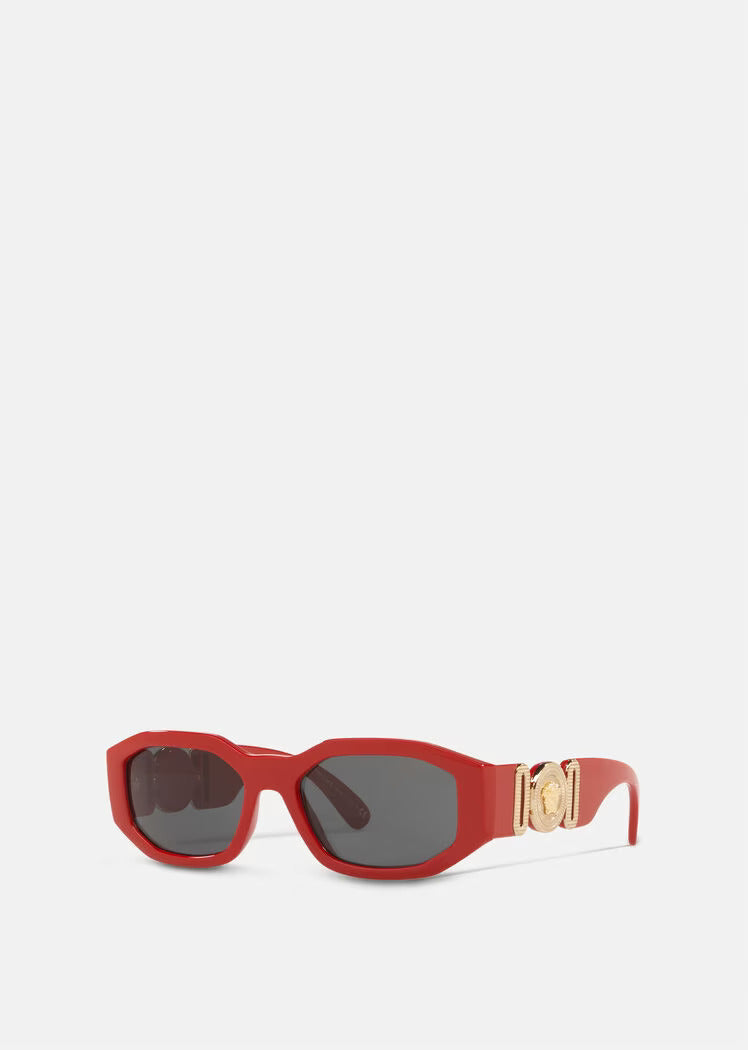 BIGGIE SUNGLASSES 4361