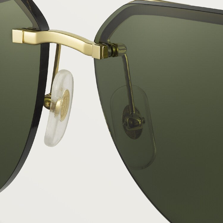 SIGNATURE C SUNGLASSES